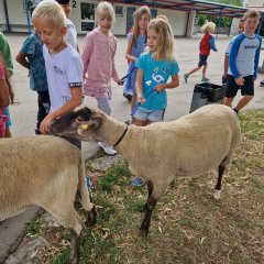 Lucky und Luke