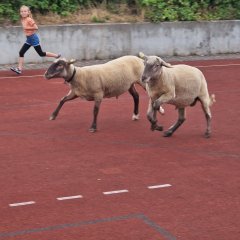 Lucky und Luke