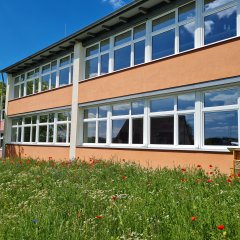 Gebäude 3 mit Blumenwiese